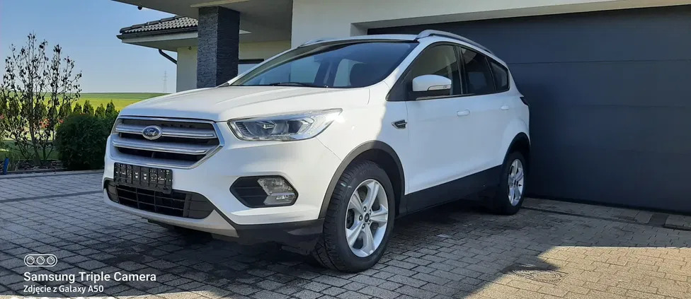 ford Ford Kuga cena 58400 przebieg: 228000, rok produkcji 2019 z Głogów